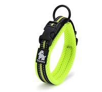 Truelove Dog Training Collar TLC5011 Reflective Premium Buckle Nylon Webbing Pet Dog Collars,High Grade Nylon Webbing No Choke Basic Collars Now Available (XL, Neon Yellow)