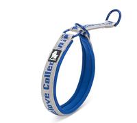 Truelove Reflective Breathable Martingale Dog Collar, Gray/Royal Blue, 3XL | Embroidered Nylon Webbing, Soft Neoprene Padded, Lightweight Comfort, Aluminium Alloy Ring, For Walking Training, TLC5371