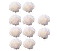 Trufolxiaz Inspired Scallops Shells 10 Pcs Craft Supplies Home Decoration for Crafting and Elegant Food Serving Daily Use Shells Charm