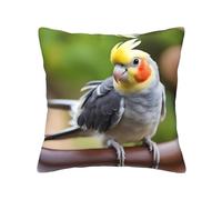 TRUKD Throw Pillow Covers,Cute Cockatiel Cushion Covers Square,16x16 For Outdoor Patio Garden Sofa Farmhouse