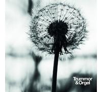 Graceful Degradation/New Beginning [VINYL]