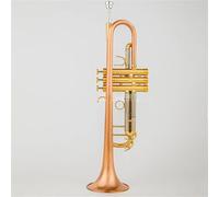 Trumpet Anniversary Silver Trumpet Pipe Instrument Brass Strudents