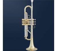 Trumpet B Flat Performance Model For Orchestra Performance