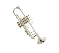 Trumpet B Flat Trumpet Beginner Performance Test Suitable For Professional Brass Instrument Two Color Model