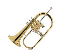Trumpet B Flat Trumpet Wind Instrument For Adult Beginners With Box