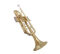Trumpet B Key Drum Ensemble Beginners Exam Standard Trumpet Set