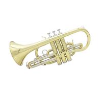 Trumpet Bb Golden Cornet With Cloth Suitcase Gloved Brush Brass Instrument For Beginners Perform
