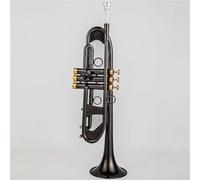 Trumpet Bb Small Trumpet Black Nickel Gold Key Professional Music Instruments With