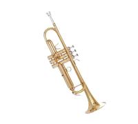 Trumpet Bb Trumpet Gold Brass Bass