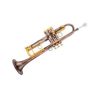 Trumpet Bb Trumpet Instrument With Unique Antique Brass Finish