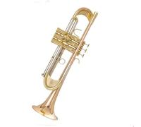 Trumpet Beginner Phosphor Bronze Trumpet Bb Tune Heavy Instrument Band Grade Examination Performance(Gold bronze)