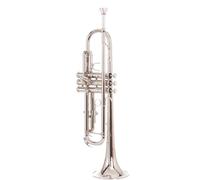trumpet Beginner's B Flat Trumpet A Professional-grade Musical Instrument
