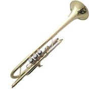 trumpet Brass Instrument Trumpet Brass C Key Beginner Examination Drum Band Adult Professional Performance