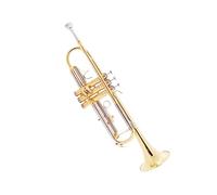 Trumpet Brass Playing B Flat Tune Beginner Wind Instrument Two Color Trumpet