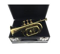 Trumpet brass trumpet with case for home decor living room art Made in Italy