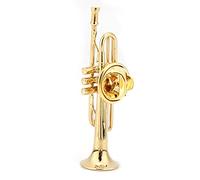 Trumpet Brooch, Exquisite Musical Instruments Shape Brooch Women Dress Clip with Case for Gift(S)