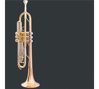 Trumpet Color Optional B Flat Tone Beginner Test Trumpet Professional Performance Wind Instrument(Phosphor bronze)