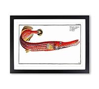 Trumpet Fish by M.E. Bloch Framed Print | A2 Black Framed Wall Art | Ready to Hang | Modern Music Picture | Living Room Bedroom Lounge Office