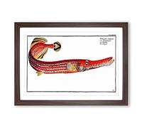 Trumpet Fish by M.E. Bloch Framed Print | A2 Walnut Framed Wall Art | Ready to Hang | Modern Music Picture | Living Room Bedroom Lounge Office