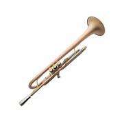 Trumpet For Beginner B-flat Phosphor Bronze Trumpet Brushed Weighted Trumpet For Beginners And Adult Bands