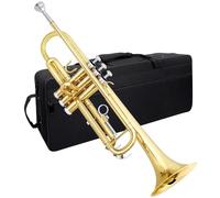 Trumpet For Beginner Bb Trumpet Brass Instrument Standard Brass Trumpet Set For Beginners Professional Trumpet Gold Silver With Box(Gold)