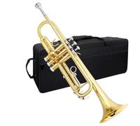 Trumpet For Beginner Bb Trumpet Brass Instrument Standard Brass Trumpet Set For Beginners Professional Trumpet With Box