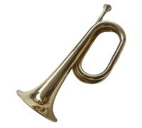 Trumpet For Beginner Beginners Playing Trumpet Big Step Trumpet Trumpet Band Trumpet