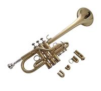 Trumpet For Beginner E Flat/D Keyed Trumpet For Beginners Professional Brass Instrument