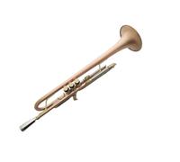 Trumpet For Beginner Phosphor Copper Brushed Weighted Trumpet Musical Instrument B Flat Beginner Grade Test Adult Band
