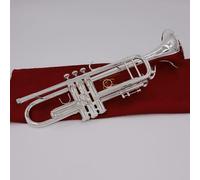 Trumpet For Beginner Silver Trumpet Pipe B Flat Instrument Brass Instrument Trumpet For Beginners