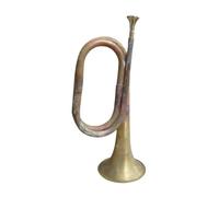Trumpet For Beginner Trumpet With Blowing Mouth Trumpet Instrument Brass Instruments Brass Trumpet(B)