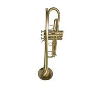 Trumpet For Beginners And Adults In B Flat Major Professional Brass Wind Instrument