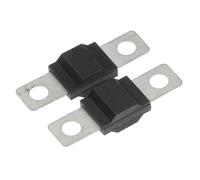 Trumpet Fork Fuse 32V 20A 30A 40A 50A 60A 70A 80A 100A 125A 150A 175A 200A Bolt Fixed Insurance Film 5Pcs(20A)