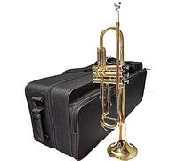 Trumpet Herche Superior Bb Trumpet M1 | Professional Instruments for all levels | MONEL VALVES | Rosebrass/Nickel-Silver/Gold | Solid Feel and Sound