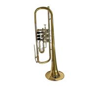 Trumpet Higher standard good sound rotary valve Bb professional trumpet