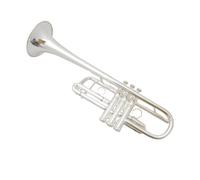 Trumpet In B-flat C-key Trumpet Instrument Three-note Trumpet Beginner's Level Examination Playing Instrument