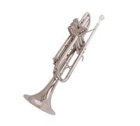 Trumpet In B Flat Is Suitable For Beginners To Take The Exam. Beginner Trumpet