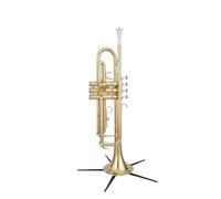 Trumpet Instrument All Yellow/nickel Plated/three Colors/B Flat Three Tone Trumpet For Beginners To Play (Color : Electrophoresis gold)
