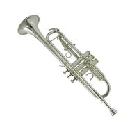 Trumpet instrument B flat brass nickel plated beginner professional performance Standard Trumpet