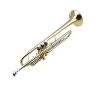 Trumpet Instrument B Flat C Key Adjustable For Beginners To Take The Test