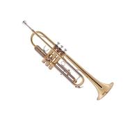 Trumpet Instrument Beginner B Flat Professional Performance Trumpet Brass Instrument Standard White Copper Pitch Tube