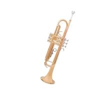 Trumpet Instrument Entry-level B Flat School Orchestra Adult Beginner Exam(A)