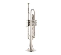 Trumpet Instrument For Beginners To Play Adult Wind Instrument Brass Lacquer Gold B Flat Trumpet Instrument (Color : White silver)