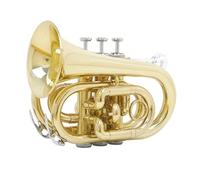 Trumpet Instrument Mini Pocket Trumpet Bb Tune Gold Brass Body Trumpet With Back Strap Glove Wipe Cloth Headpiece Brush Rope