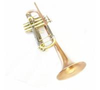 Trumpet Instrument Phosphor Copper Trumpet Bb B Flat Brass Gold-painted Exquisite Durable Musical Instrument Gloves Strap Case