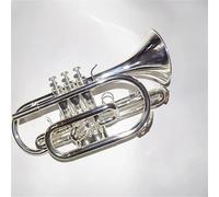Trumpet Instrument Professional Bb Flat Cornet Trumpet Instrument Silver Plated With Carry Case