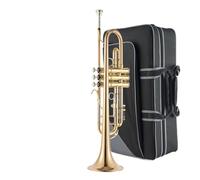 Trumpet Instrument Professional Performance Level Adult Wind Band B Flat Brass Phosphor Bronze Trumpet Instrument (Color : 04)