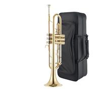Trumpet Instrument Professional Performance Level Adult Wind Band B Flat Brass Phosphor Bronze Trumpet Instrument (Color : 08)