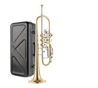 Trumpet Instrument Professional Performance Level Adult Wind Band B Flat Brass Phosphor Bronze Trumpet Instrument (Color : 06)