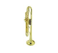 Trumpet Instrument Three-color Lacquer Gold Trumpet Nickel-plated Trumpet Instrument Student Beginner Performance Level (Color : Lacquer gold trumpet)